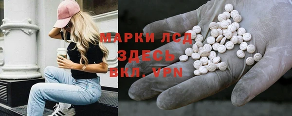 мяу мяу мука Алзамай