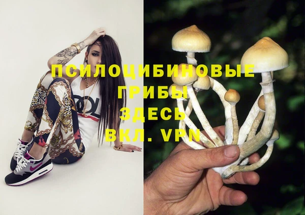 мяу мяу мука Алзамай