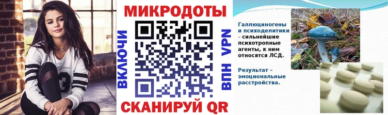 Галлюциногенные грибы прущие грибы  дарнет шоп  Приморск 